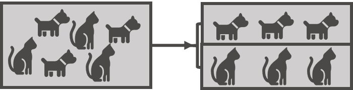 KI Hunde und Katzen Mustererkennung